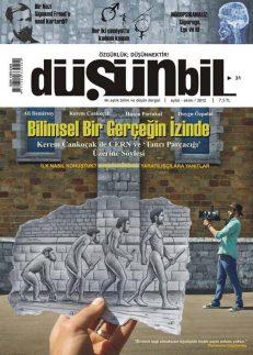 Düşünbil Sayı 31